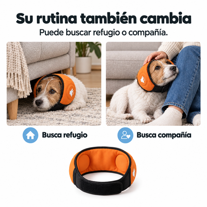 Orejeras antirruido para perros
